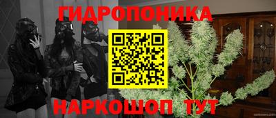 ПСИЛОЦИБИНОВЫЕ ГРИБЫ Лесосибирск