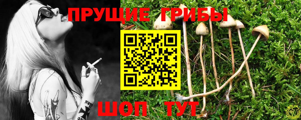 Зеленогорск  Галлюциногенные грибы Magic Shrooms  Вход с VPN 